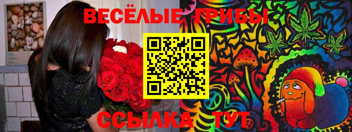 Псилоцибиновые грибы ЛСД Кохма