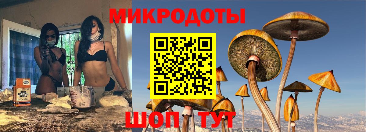 Кохма  Галлюциногенные грибы MAGIC MUSHROOMS  Вход с VPN 