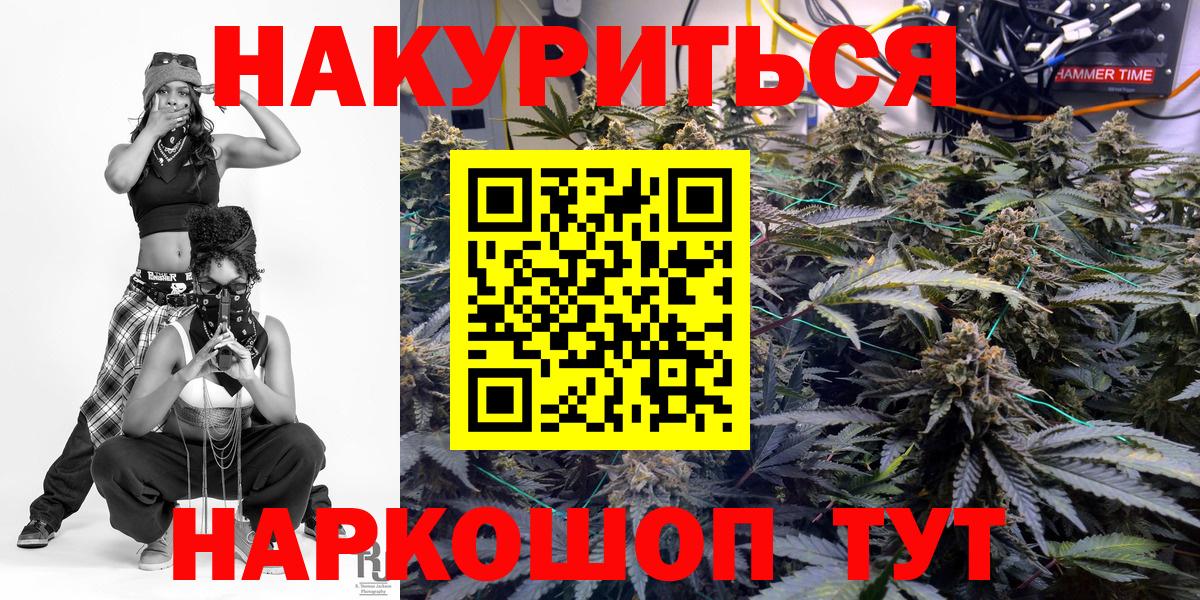 Кохма  Канабис конопля  МАРИХУАНА планчик  Вход с VPN 